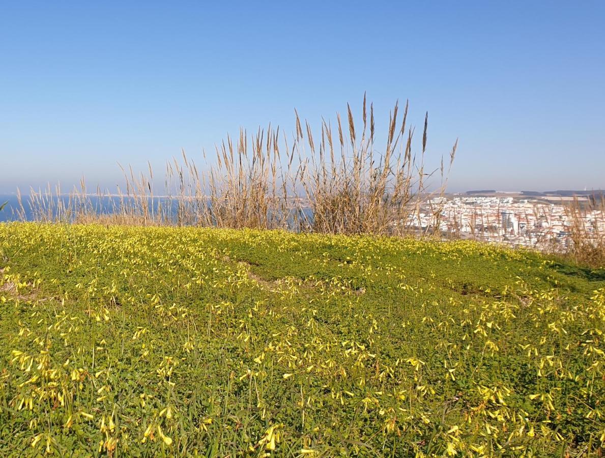 Casa Harmonica Com Vista Mar Villa Areia Branca Eksteriør bilde
